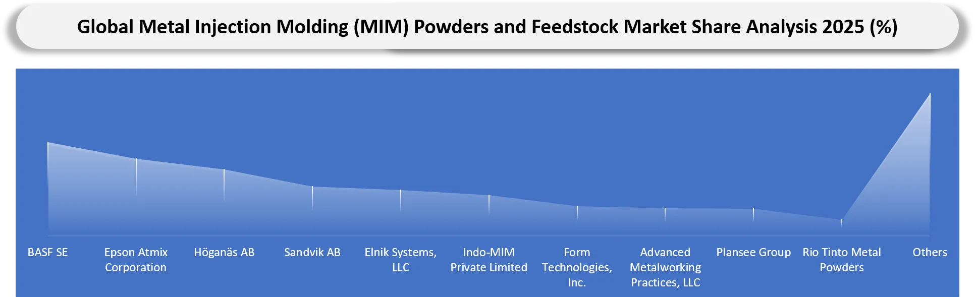 Metal Injection Molding Powders and Feedstock Market Company Share Analysis