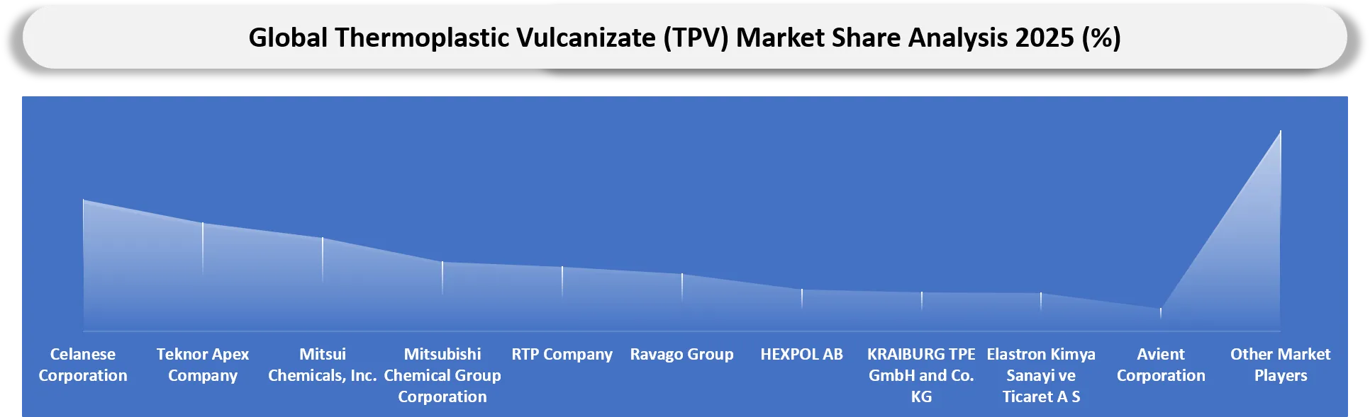 Thermoplastic Vulcanizate (TPV) Market Company share analysis