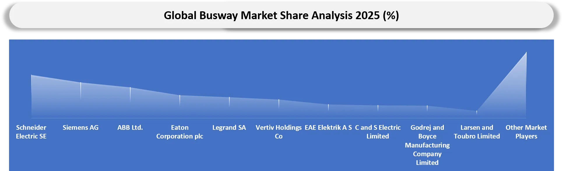 Busway Market Company Share analysis