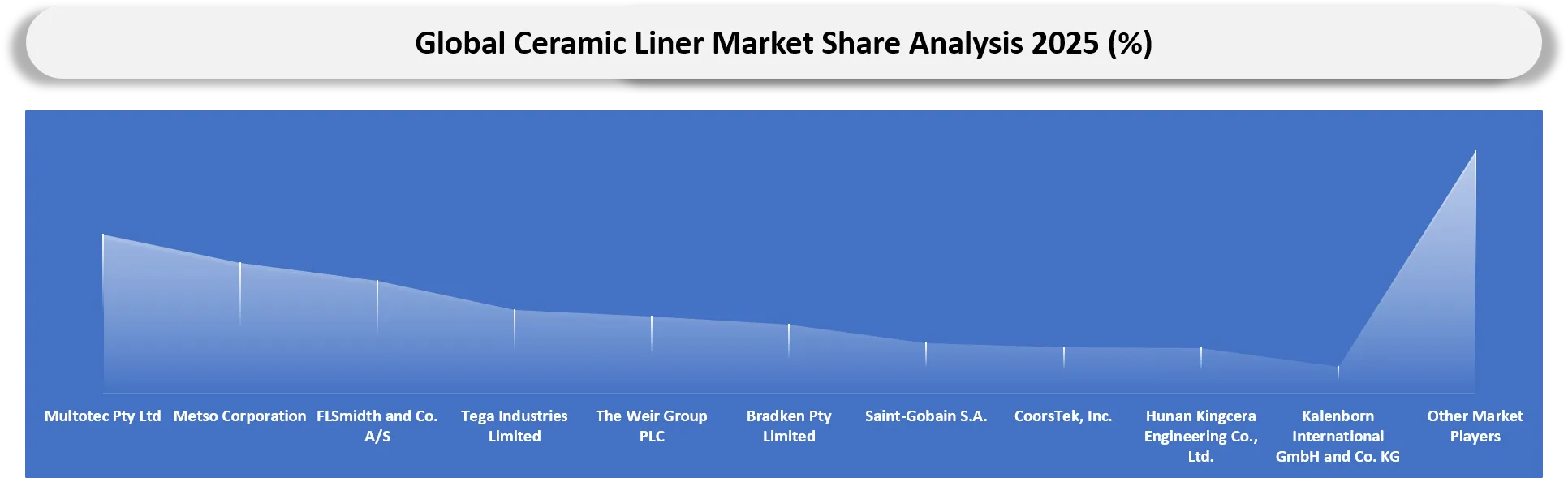 Ceramic Liner Market Company Share Analysis