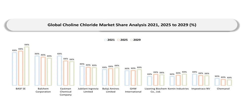 Choline Chloride Market company share analyis