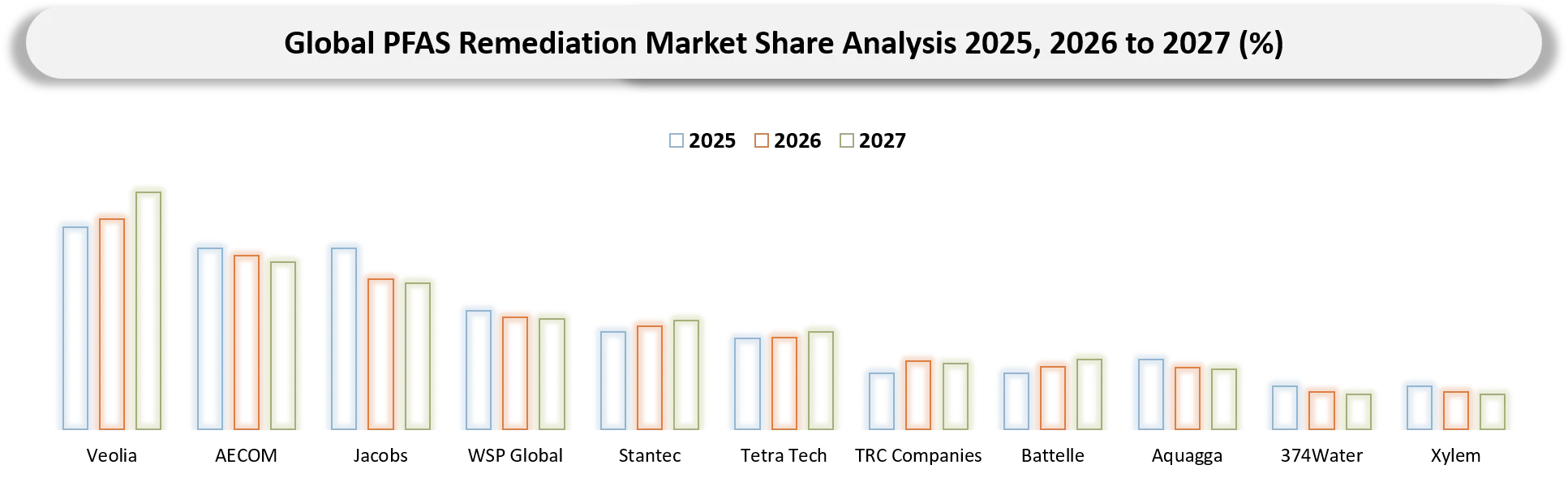 PFAS Remediation Market Company Share Analysis