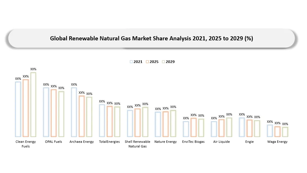 Renewable Natural Gas Market Company share analysis