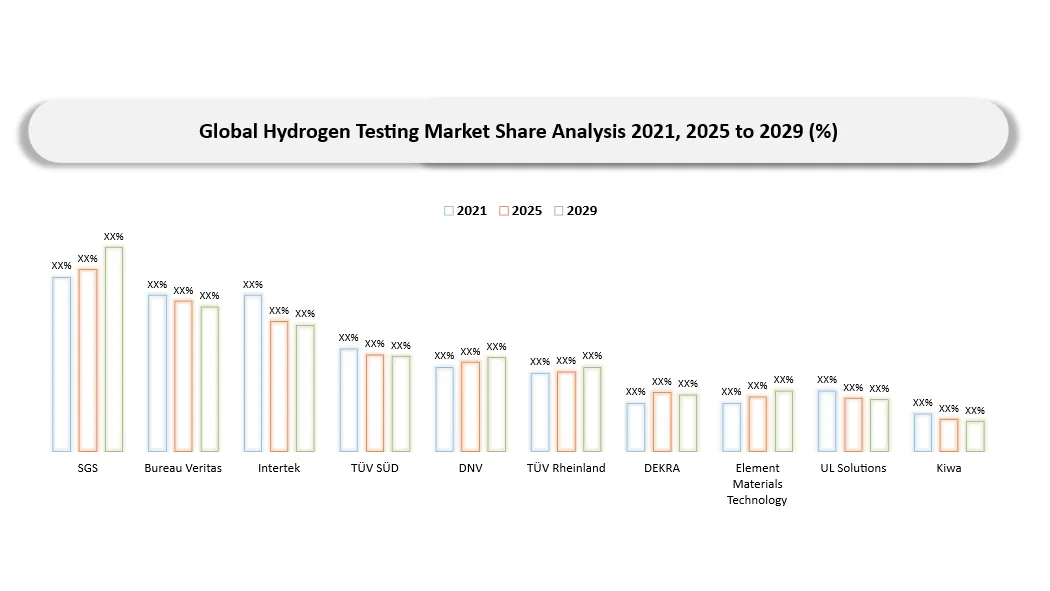 Hydrogen Testing Market Company share analysis
