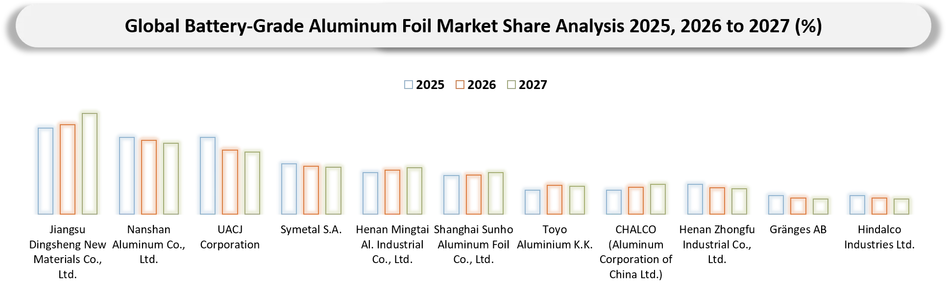 Battery-Grade Aluminum Foil Market Company share analysis
