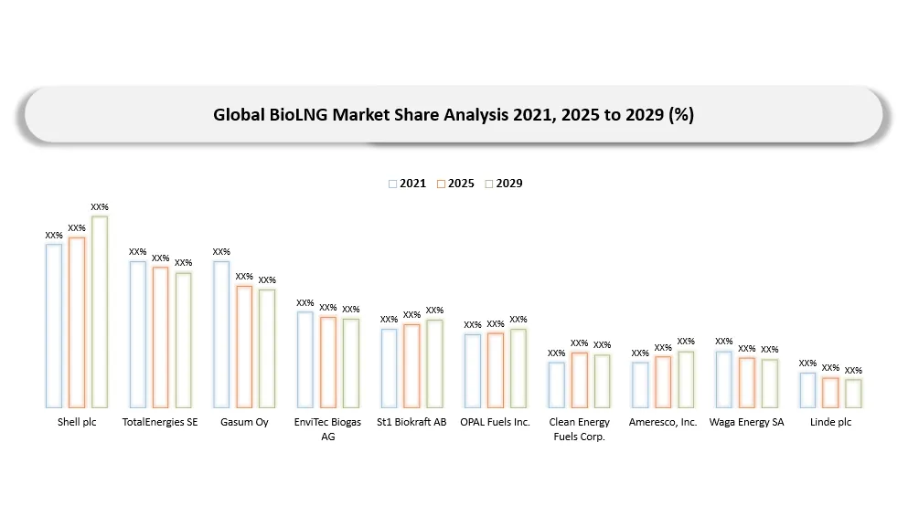 bioLNG Market Company share analysis