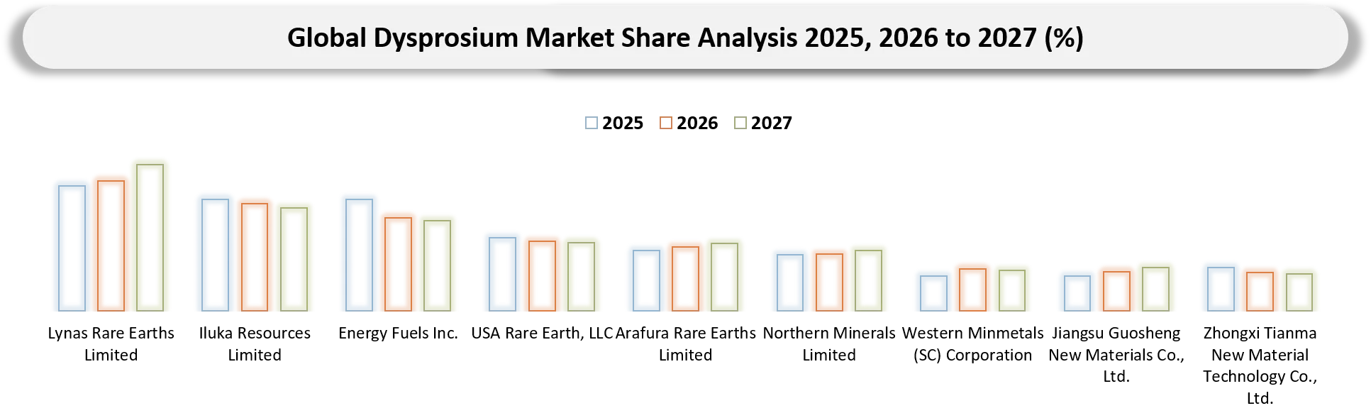Dysprosium Market Company Share analysis