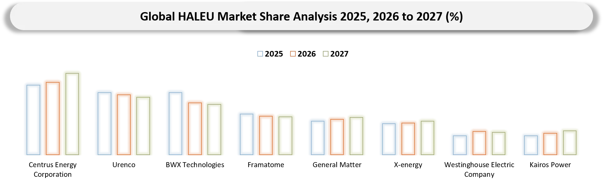 HALEU Market Key players Market Shares