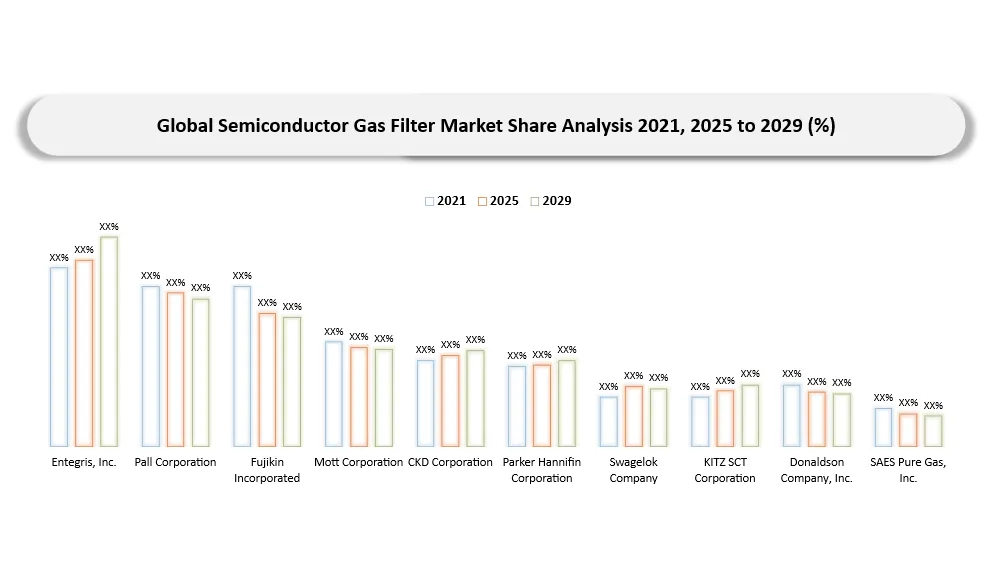 Semiconductor Gas Filter Market Company share analysis