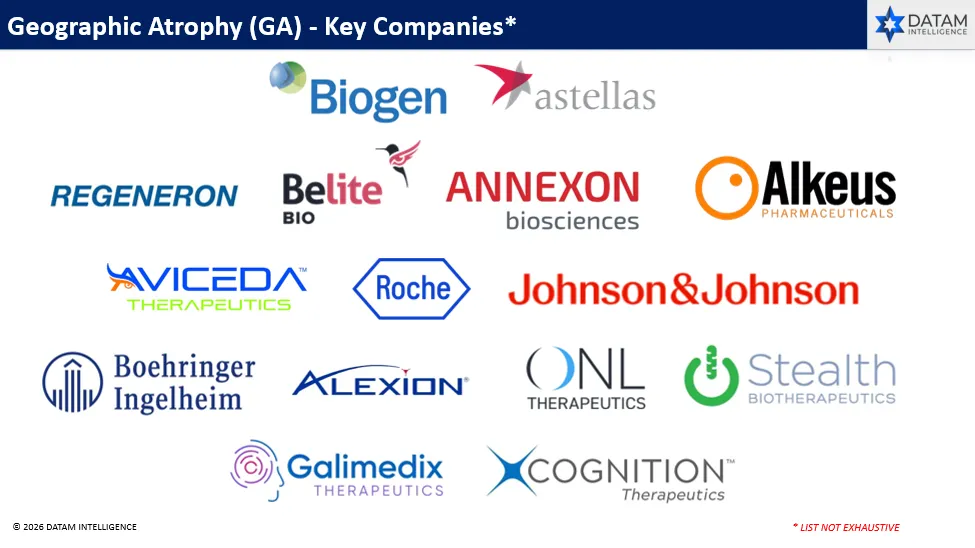 Key Companies