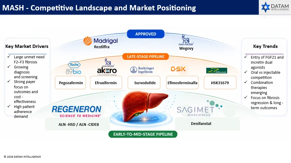 Competitive Landscape and Market Positioning