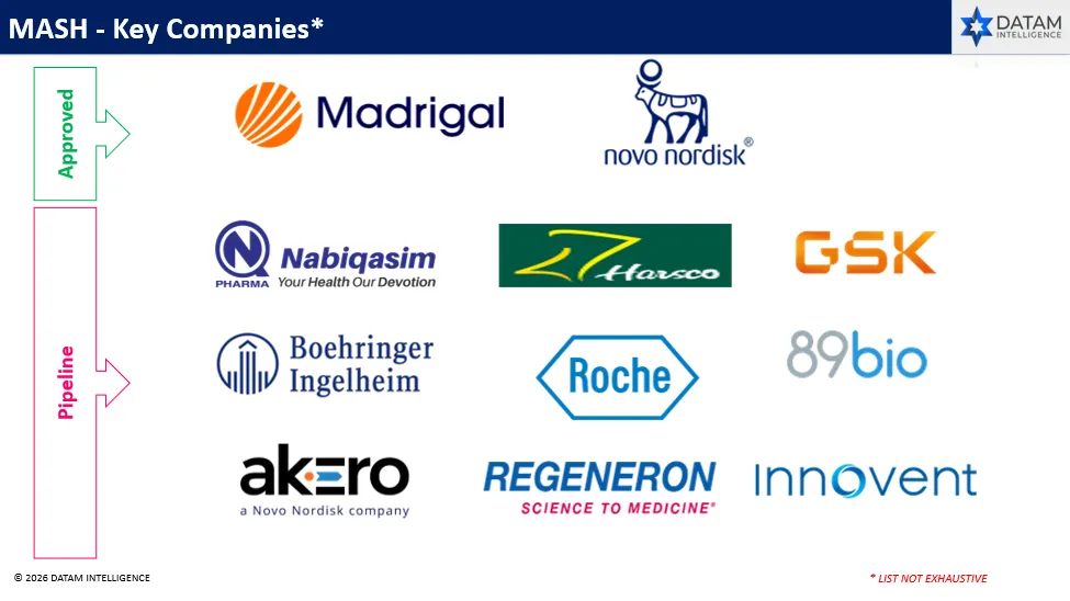 MASH - Key Companies