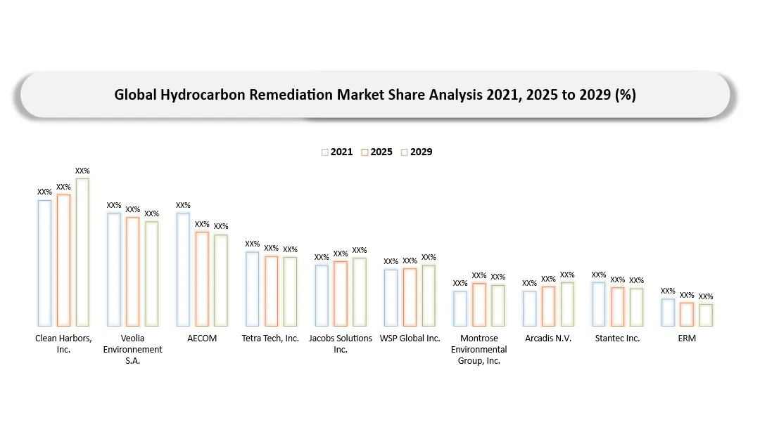 Hydrocarbon Remediation Market Key Companies Market Shares