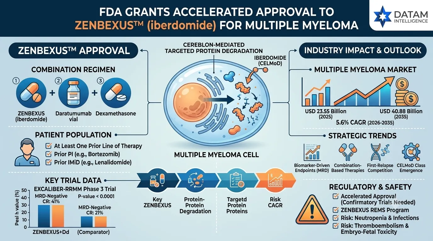 Infographic illustrating FDA accelerated approval of ZENBEXUS (iberdomide) for multiple myeloma, featuring EXCALIBER-RRMM trial trial data, mechanism of action, market projections, and safety considerations.