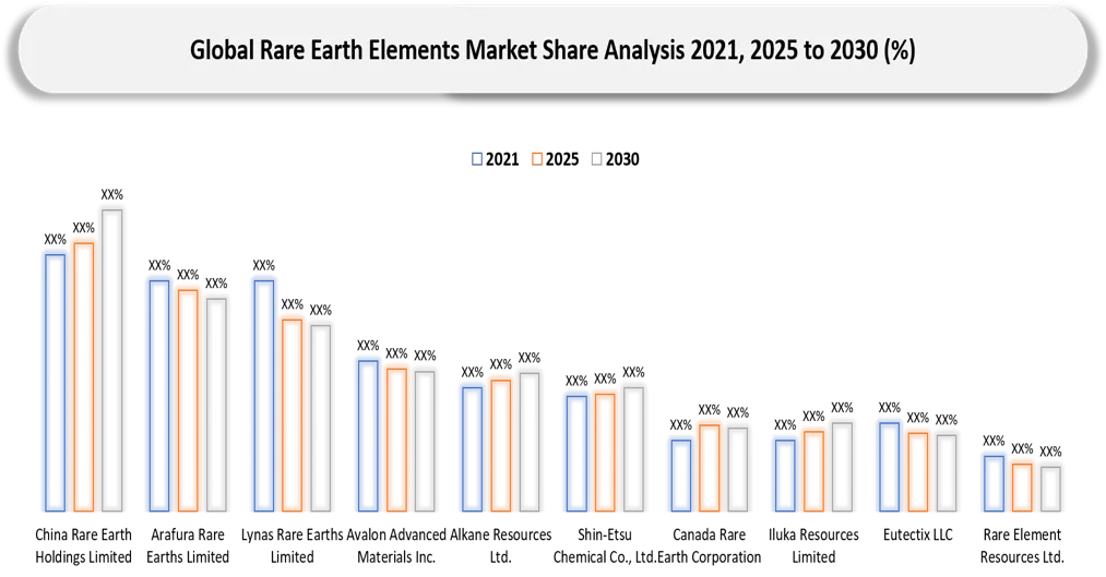 Rare Earth Elements Market share analysis