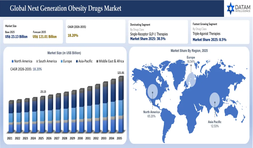 Next-Generation Obesity Drugs Market Size and overview