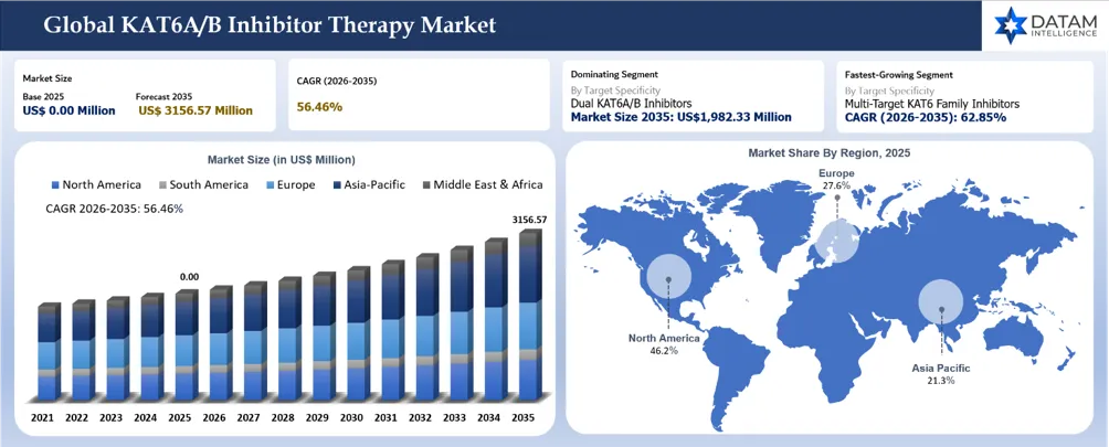 KAT6A/B Inhibitor Therapy Market Size and Overview