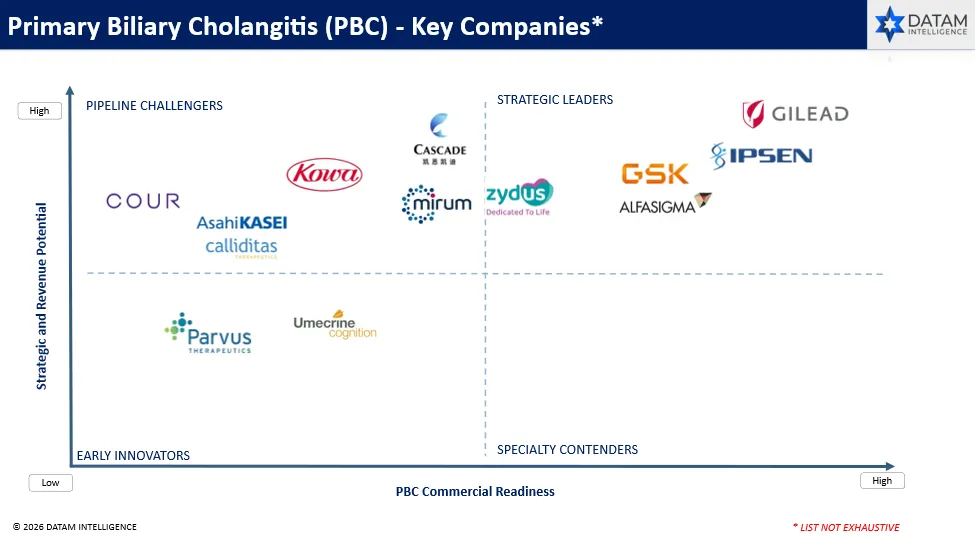 Competitive Landscape and Market Positioning
