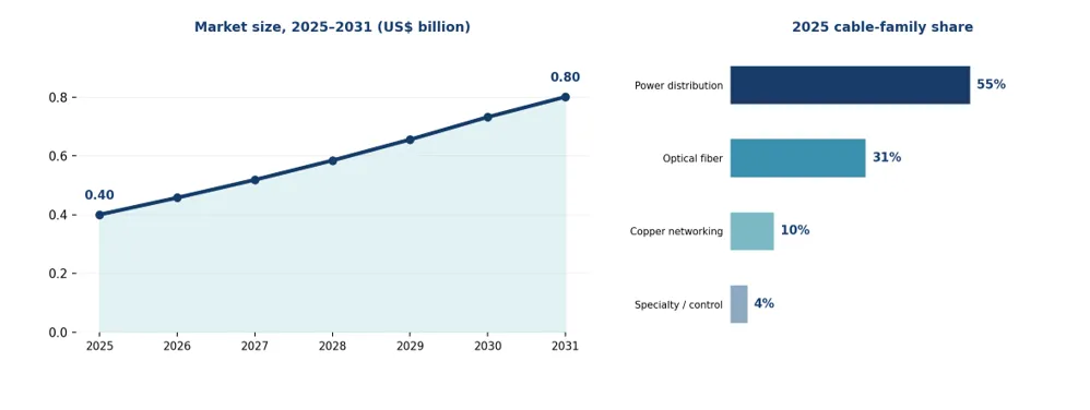 Figure 1. Brazil Data Center Cables & Wires Market Size, 2025–2031 and 2025 Cable-Family Shares