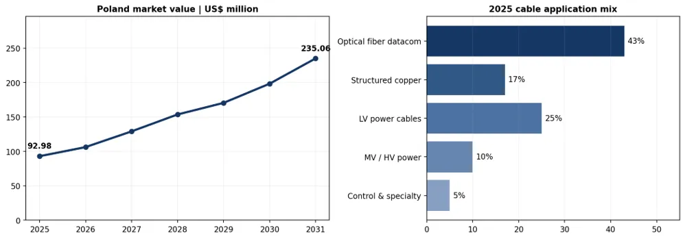 Figure 1. Poland Data Center Cables & Wires Market: Market Size, 2025–2031 and 2025 Cable Application Mix.
